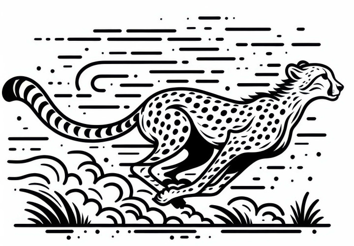 Gepardul aleargă prin stepă – Desen de colorat gratuit