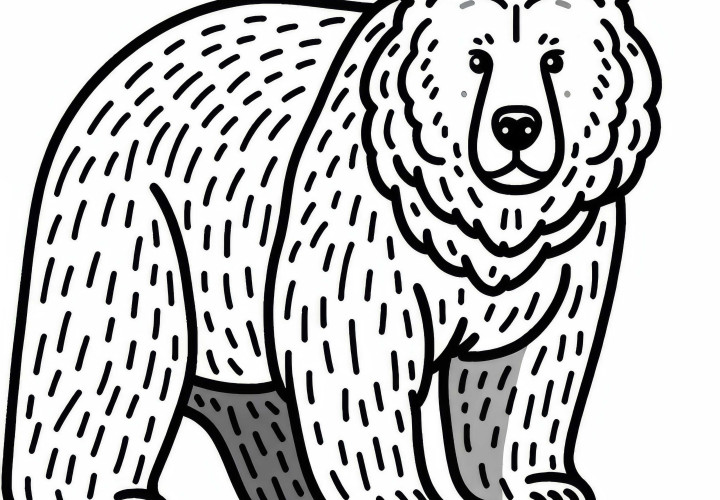 Bezplatná maľovanka s medveďom hnedým – Stiahni si obrázok teraz!
