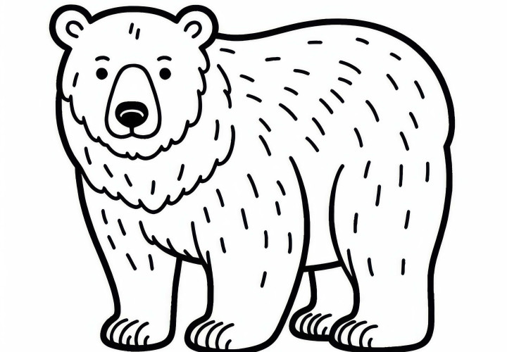 Bezplatná maľovanka s ľadovým medveďom