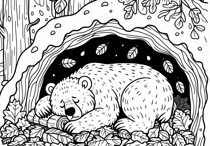 L'orso dorme nella caverna - Disegno da colorare gratuito