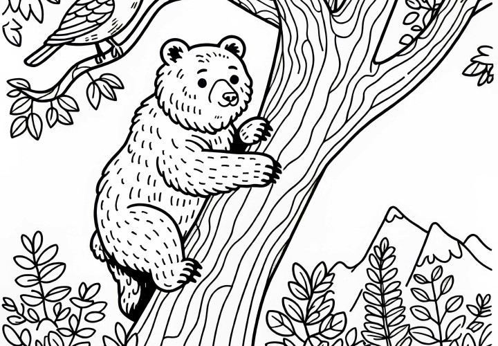 Medveď lezie na strom – Zafarbička zadarmo