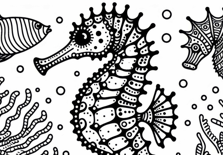 Free Seahorse Coloring Page Seahorse Coloring Page Free