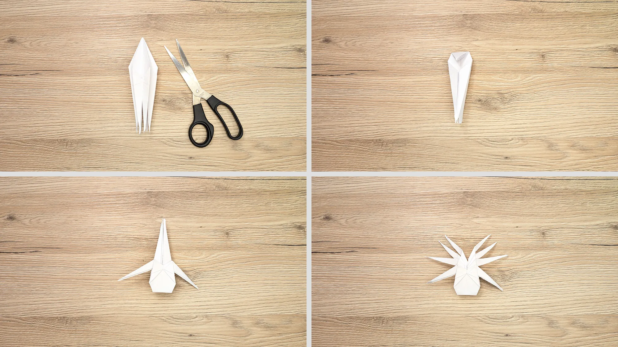 Origami Araignée, étape 6 : De quatre, on fait huit pattes Origami Araignée, étape 6 : De quatre, on passe à huit pattes