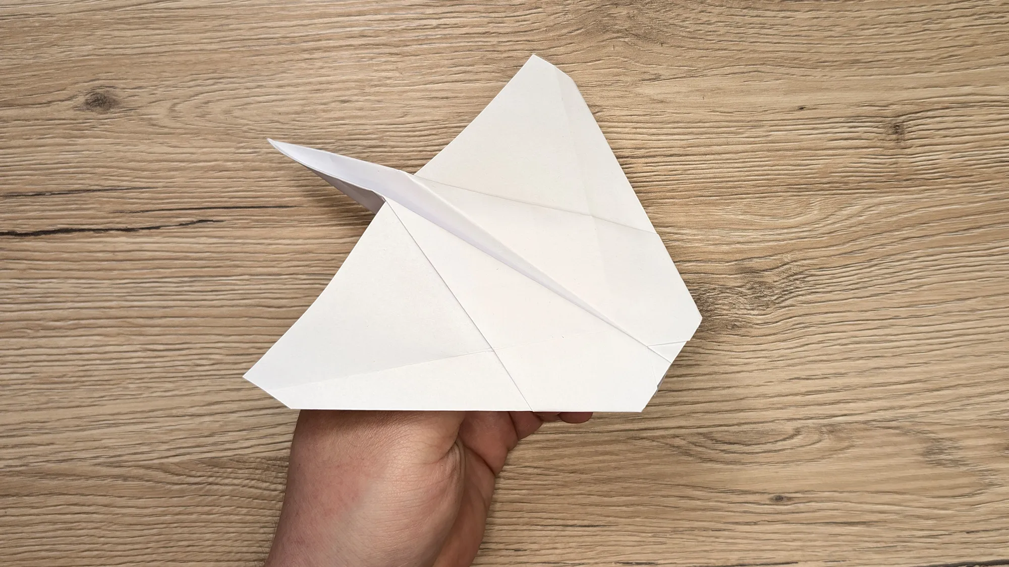 Papierflugzeug Rochen, Schritt 4: Der letzte Schliff Papierflugzeug Rochen, Schritt 4: Der letzte Schliff