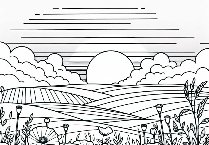 Poppy flowers among fields - free coloring page