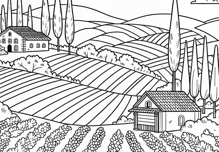 Cypress trees and small vineyards among the vines – Free coloring page