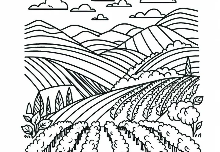 Vineyard on a hill overlooking the valley - coloring page for landscape