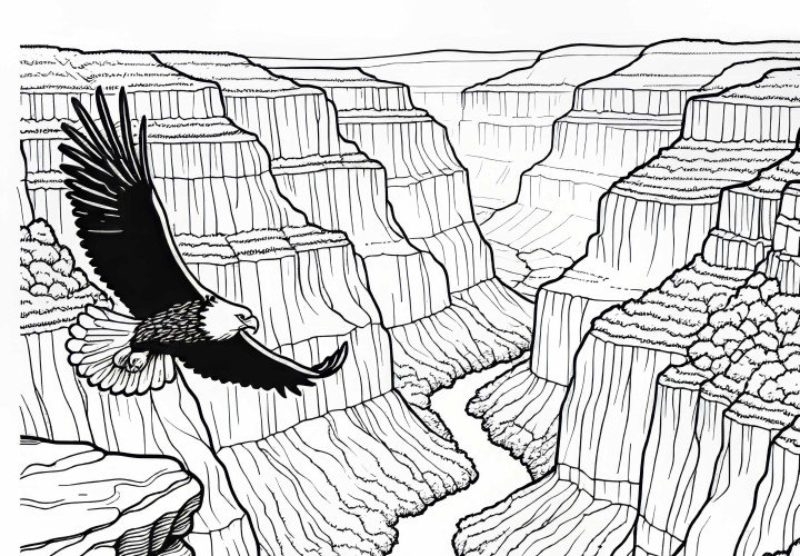 Орелът кръжи над пропастта на каньон – безплатен шаблон за оцветяване