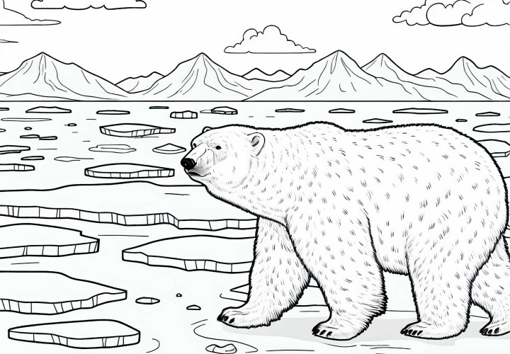 Eisbär läuft über Eisfläche – Ausmalbild Polarregion kostenlos