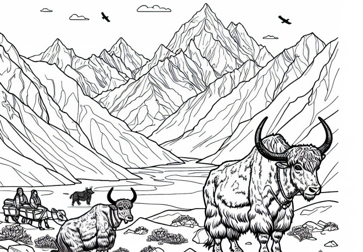 Himalayas with Yaks - Free coloring page from Asia Himalayas with Yaks - Free Coloring Page from Asia