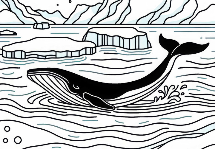 WAL aparece - folha de pintura da Antártida grátis