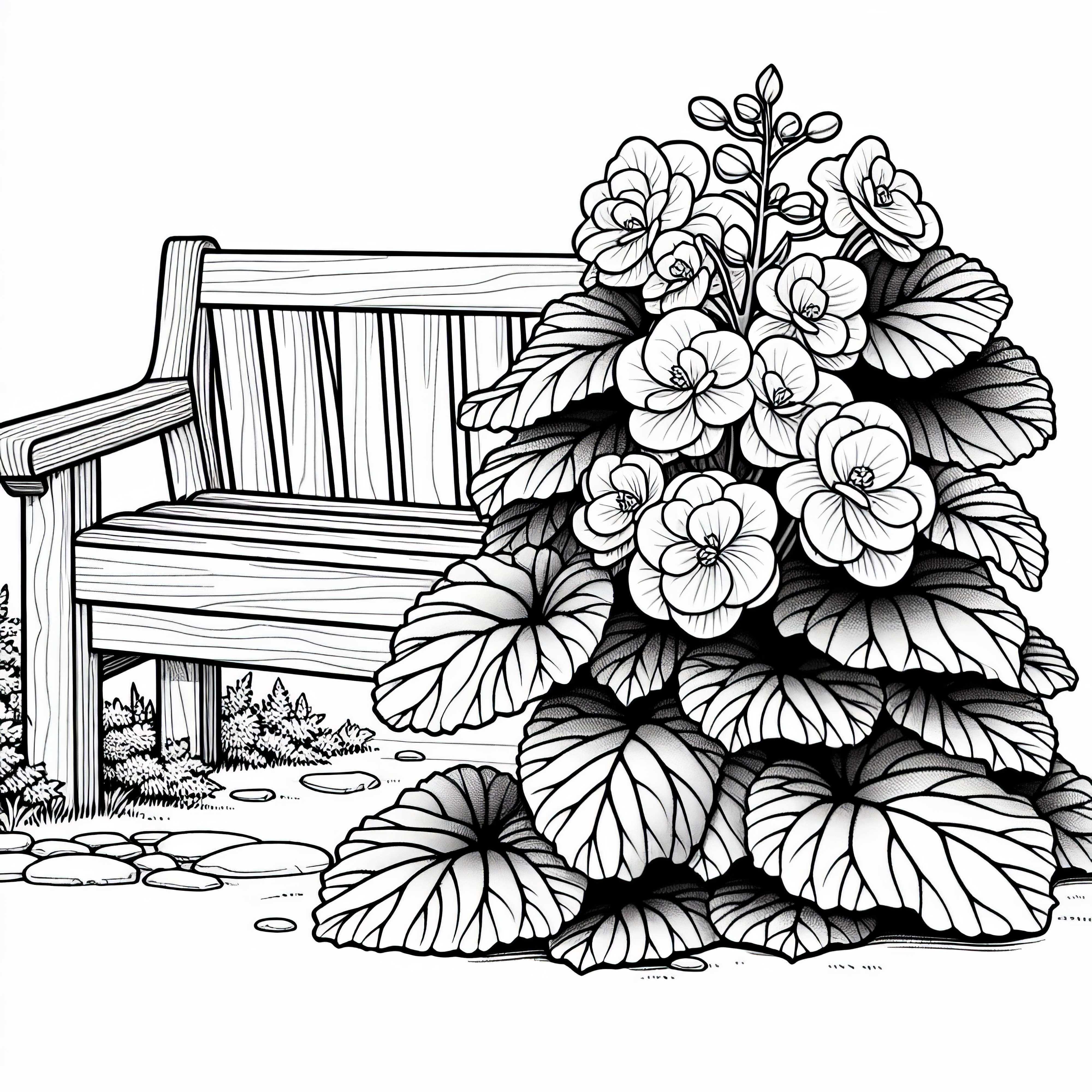 Coloring page of a begonia growing next to a wooden bench – download for free! Coloring page of a begonia growing next to a wooden bench – download for free!