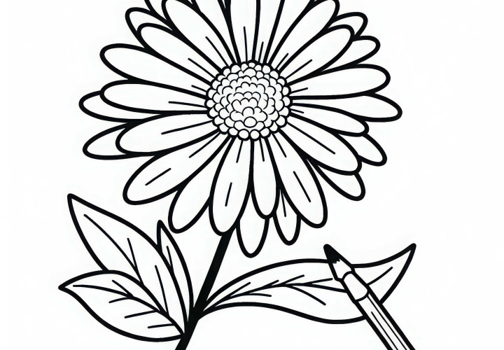 Desenho para colorir de margarida grátis