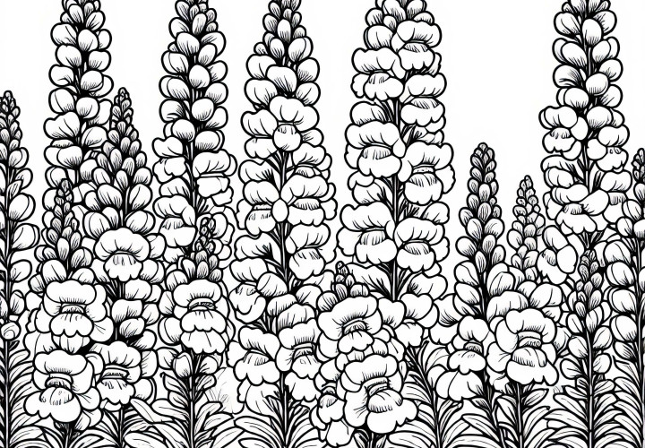 Several flower snapdragons bloom closely next to each other coloring page free
