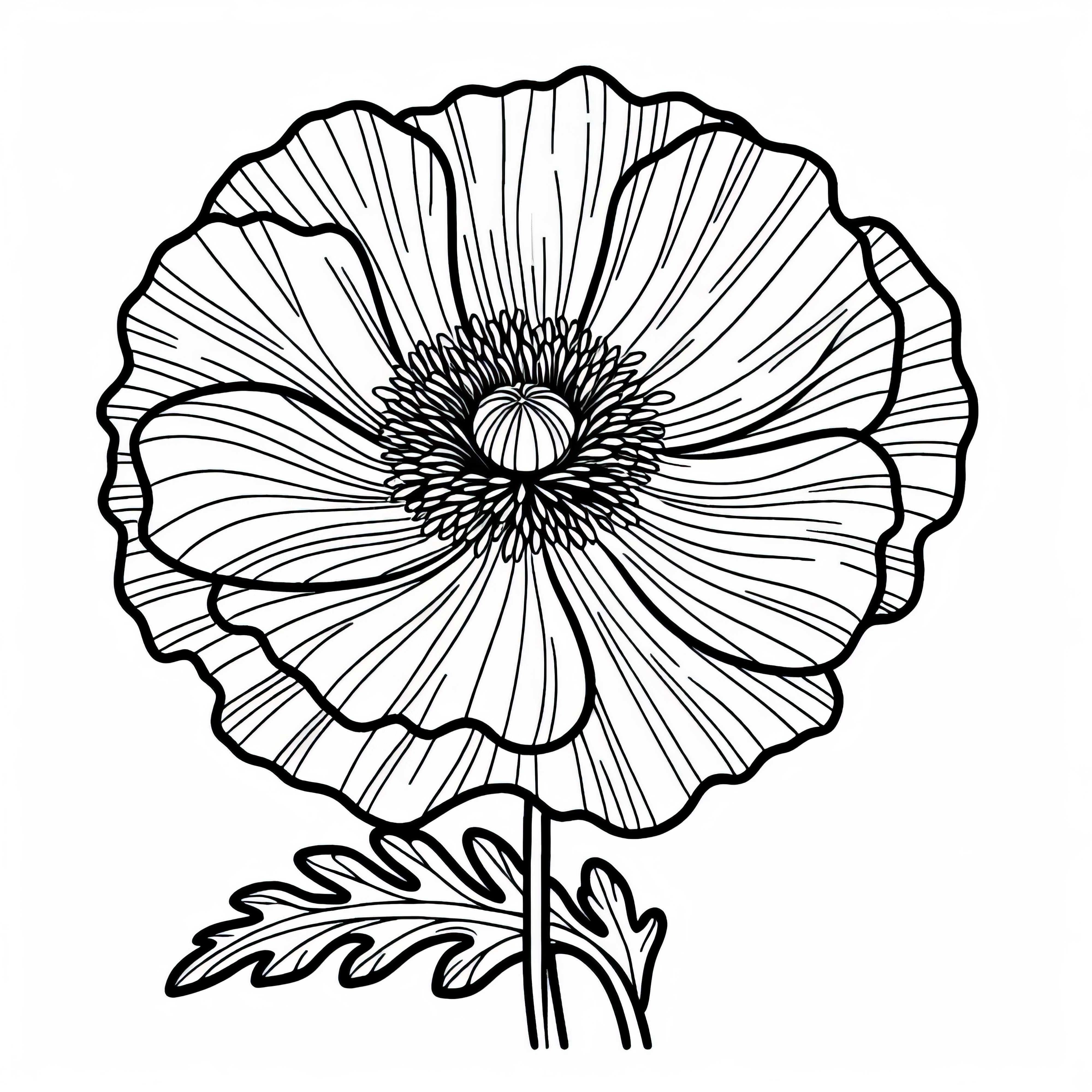 Безплатен шаблон за оцветяване на макове Безплатен шаблон за оцветяване на мак