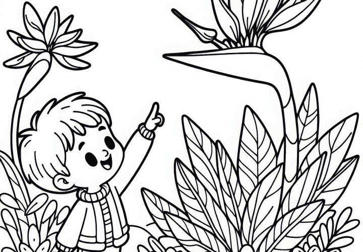 Дете с ентусиазъм посочва цветето папагал – рисунка за оцветяване безплатно за сваляне