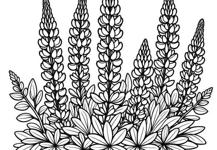 Ausmalbild der Lupine mit Sträuchern kostenlos herunterladen