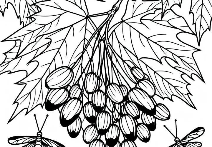 Ausmalbild von Ahornfrüchten und Nasenzwicker am Ahornbaum – Kostenlos herunterladen