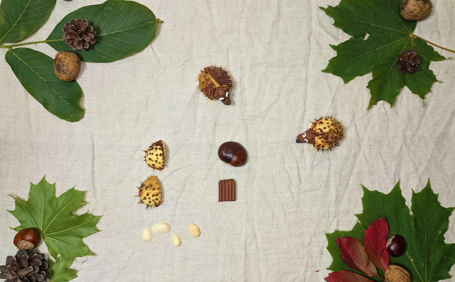 Ouriços-cacheiros de castanha, etapa 1: Preparação da castanha e da casca