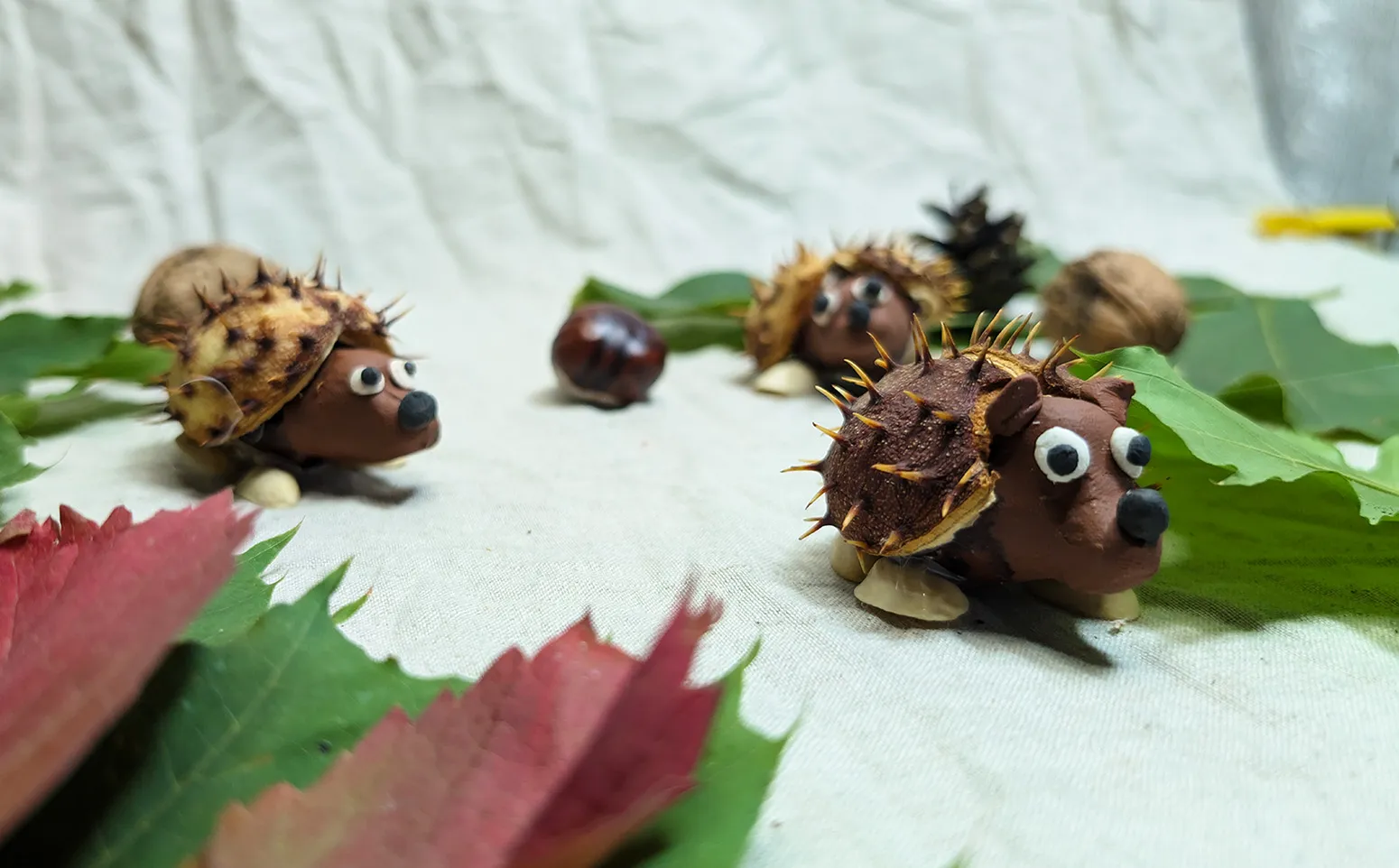 Ouriços feitos de castanhas: Artesanato com crianças