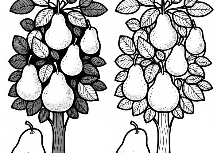 Birnbaum Ausmalbild Kostenlos: Hochwertiges Ausmalvergnügen