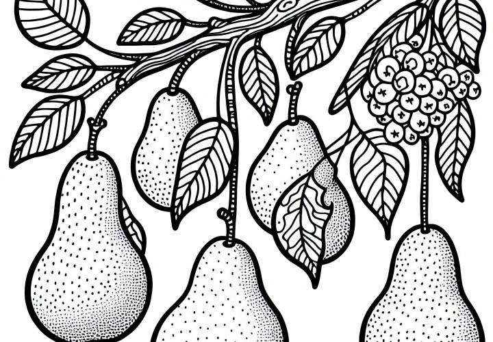 Birnen am Birnbaum – Malvorlage Gratis