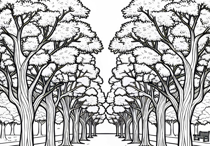 Ash trees in an avenue on the edge of a park - free coloring page