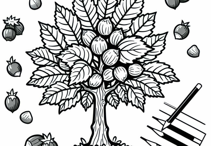 Image à colorier d'un noisetier gratuit