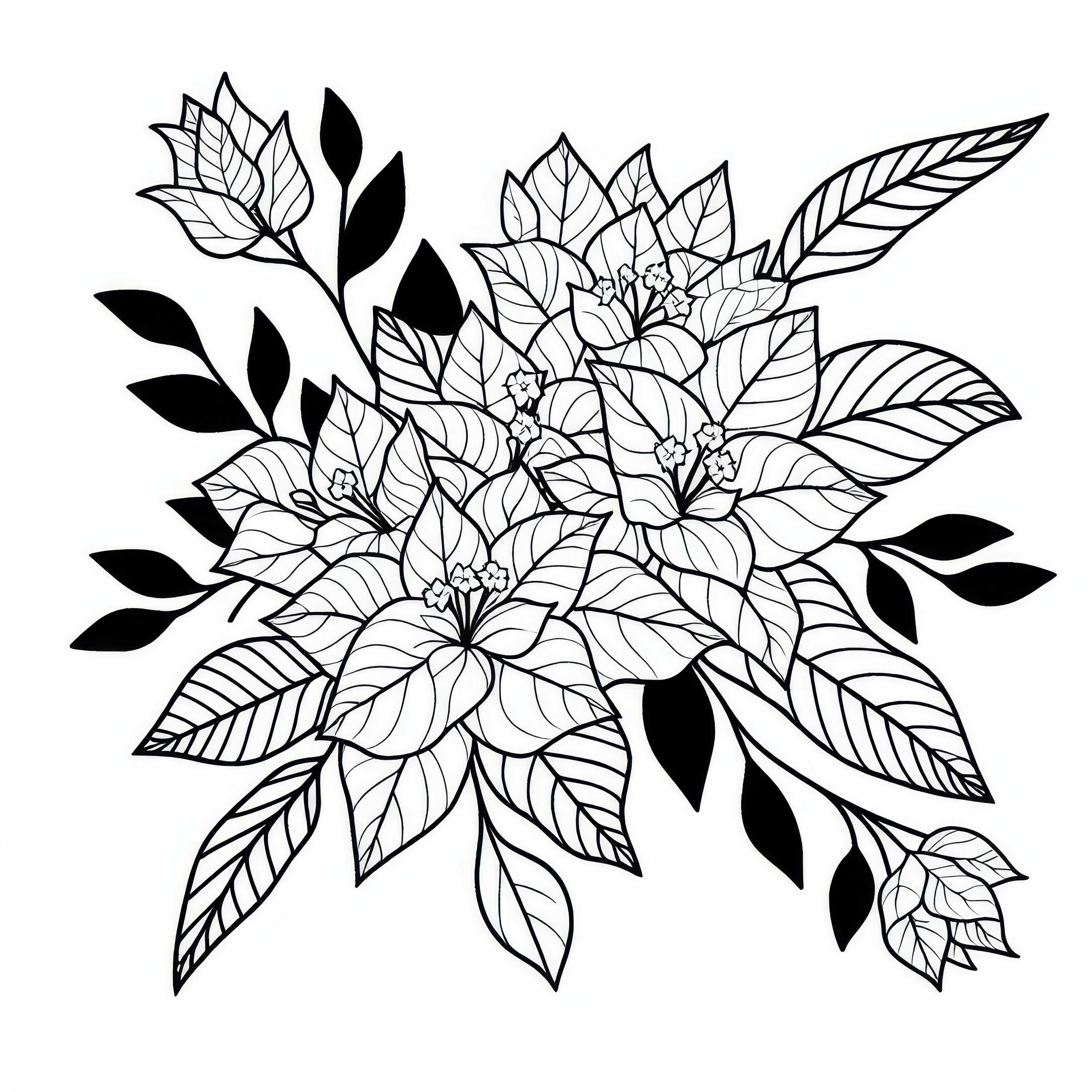 Bougainvillea model de colorat gratuit de descărcat și colorat Bougainvillea Desen de Colorat Gratuit de Descărcat și Colorat