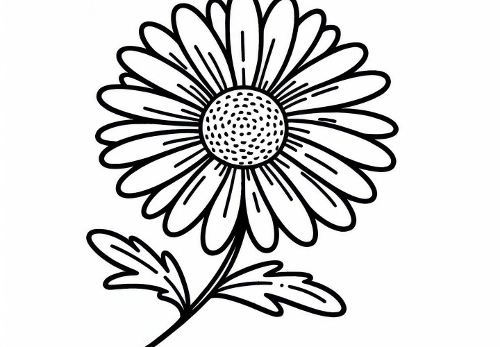 Download and color a free chamomile coloring page