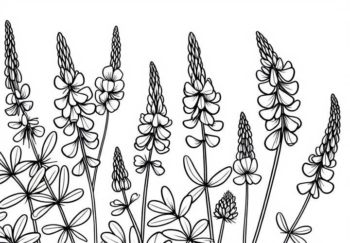 Magnifique modèle de coloriage de vesce gratuit