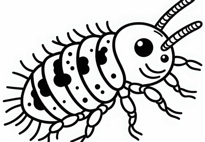 無料の塗り絵テンプレート – 創造的な瞬間のための塗り絵