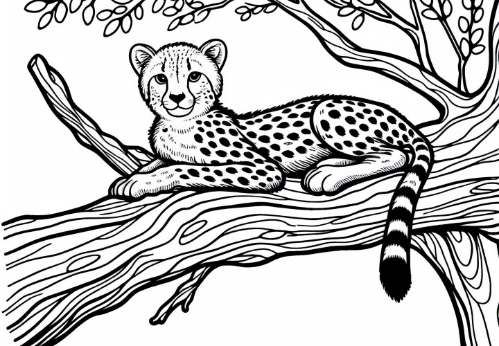 Guepardo en la rama de un árbol: Dibujo para colorear sencillo (Gratis) Guepardo en la rama de un árbol: Imagen para colorear sencilla (Gratis)