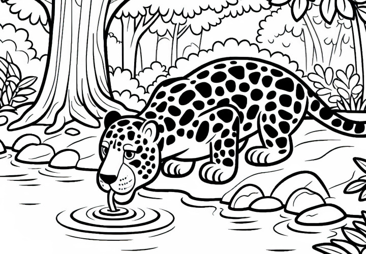 Jaguar drinks from jungle river: Coloring page to download (Free)