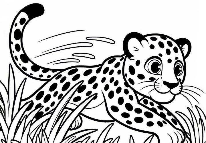 El leopardo caza a través de la hierba de la sabana: Imagen para colorear para descargar (Gratis) El leopardo caza a través de la hierba de la sabana: Dibujo para colorear para descargar (Gratis)