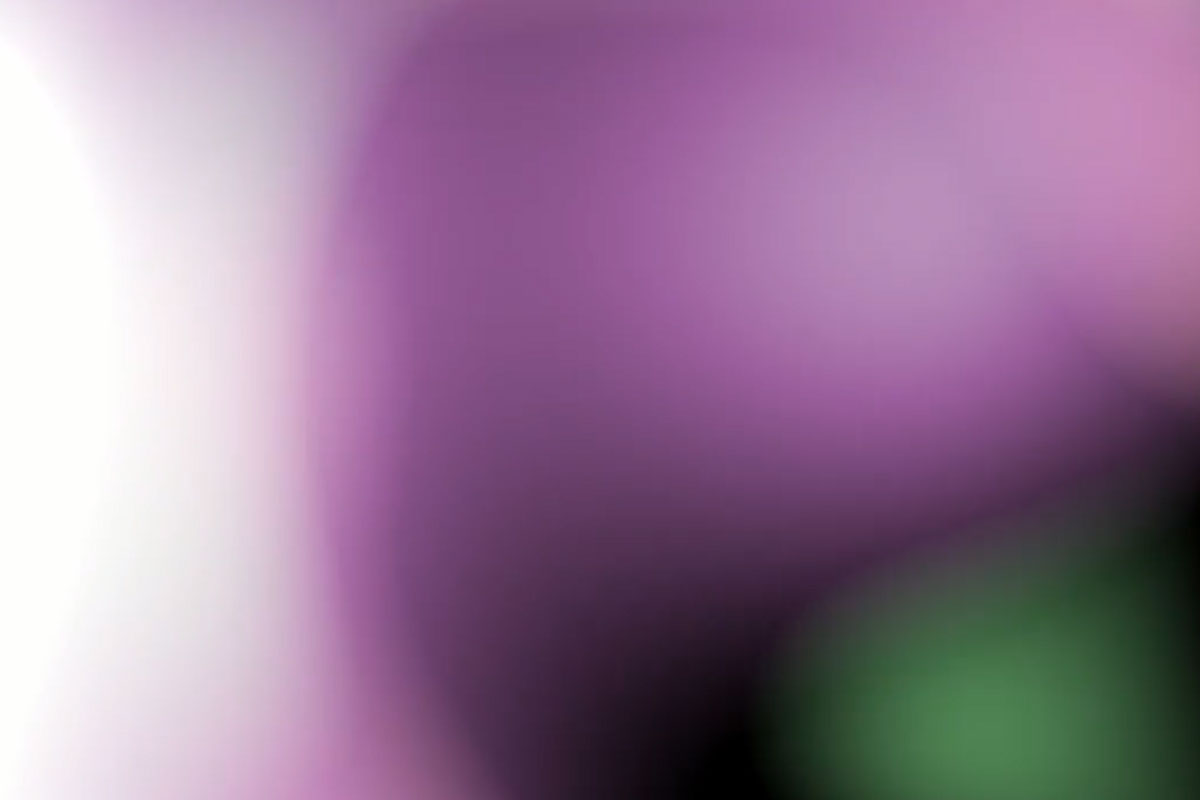 Dai ai tuoi video luminosità e vivacità dei colori.