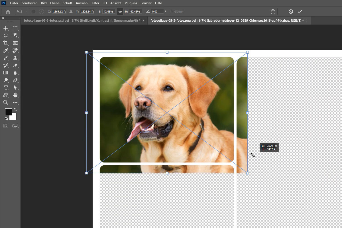 Video guida: Creare bellissime fotocollage con modelli