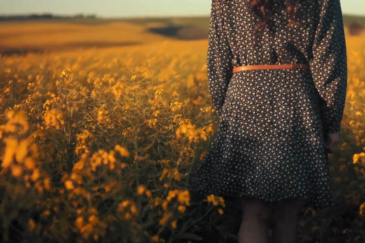 Video LUTs for Premiere Pro, After Effects and co: summery and wintery retro looks