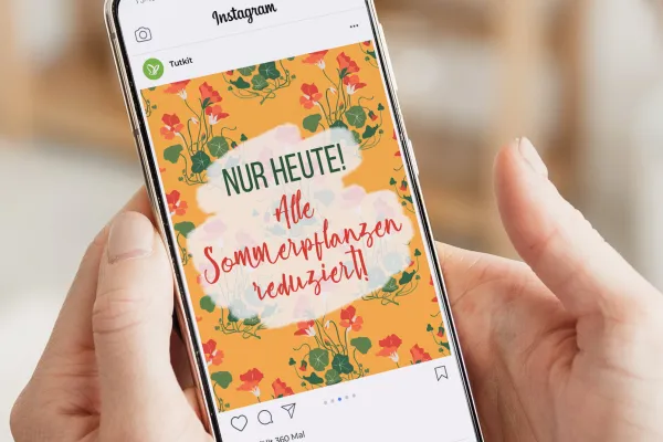 Social-Media-Post mit einer Pflanzen-Textur im Hintergrund
