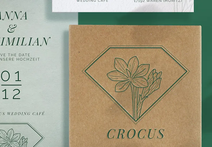 250 Ícones, gráficos e logotipos com flores, ervas, pétalas e molduras ornamentadas.