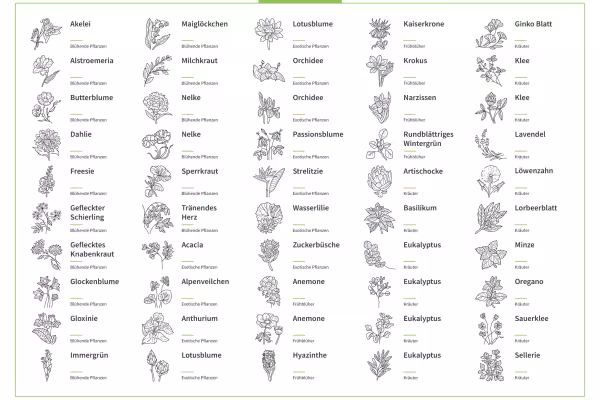 Icônes, graphiques avec des fleurs, des herbes, des fleurs.
