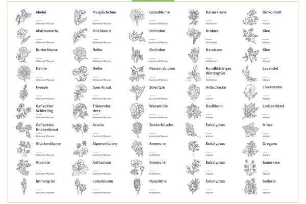 Icons, Grafiken mit Blumen, Kräutern, Blüten