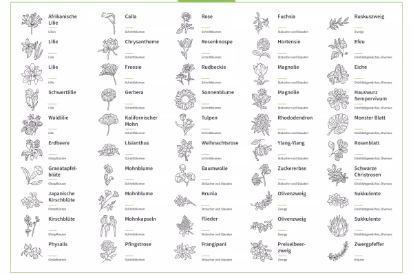 Icônes, graphiques avec des fleurs, des herbes, des fleurs