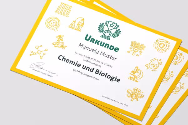 Icônes de science, d'école, d'éducation et d'université sur un certificat.