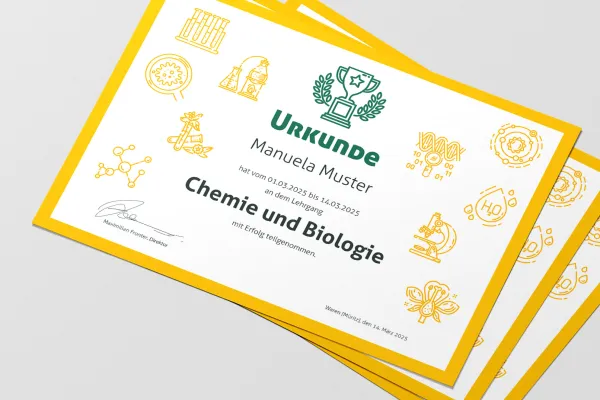 Icons zu Wissenschaft, Schule, Bildung und Universität auf einer Urkunde