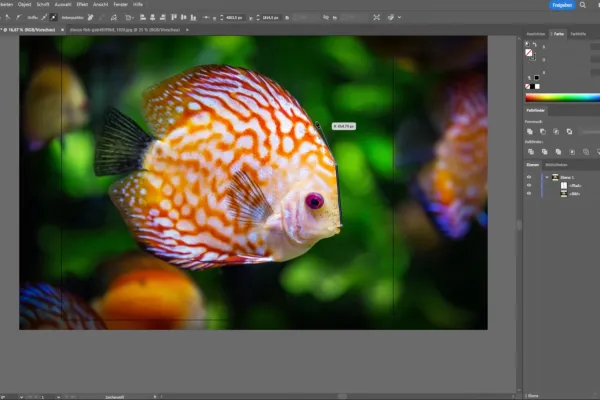 Podstawowy samouczek do Adobe Illustrator: Screenshot z obrazem