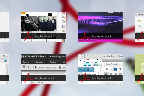 Adobe Acrobat – Ausschnitte aus dem Tutorial