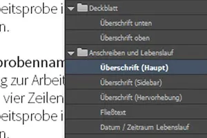 InDesign-Anleitung: So bearbeitest du die Bewerbungsvorlagen