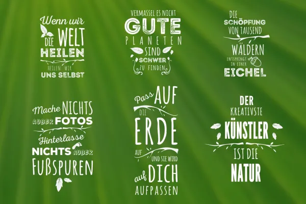 Efekty typograficzne i wzory kaligraficzne.