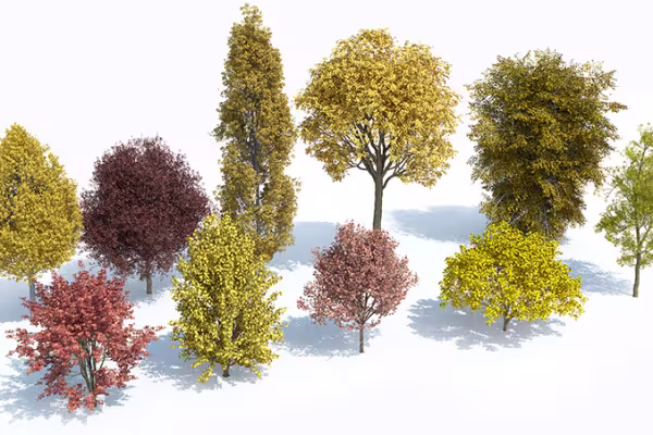 3D-træer lavet med Lauberk Plants Kit 6, hvert træ er detaljeret forarbejdet.